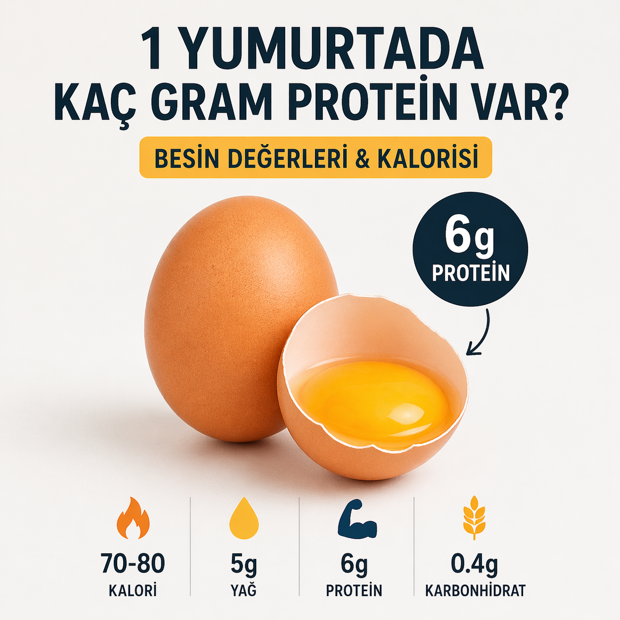 1 Yumurtada Kaç Gram Protein Var? | Besin Değerleri & Kalorisi