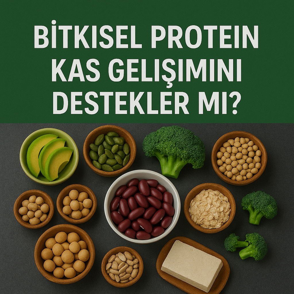 Bitkisel Protein Kas Gelişimini Destekler mi? | bahs.