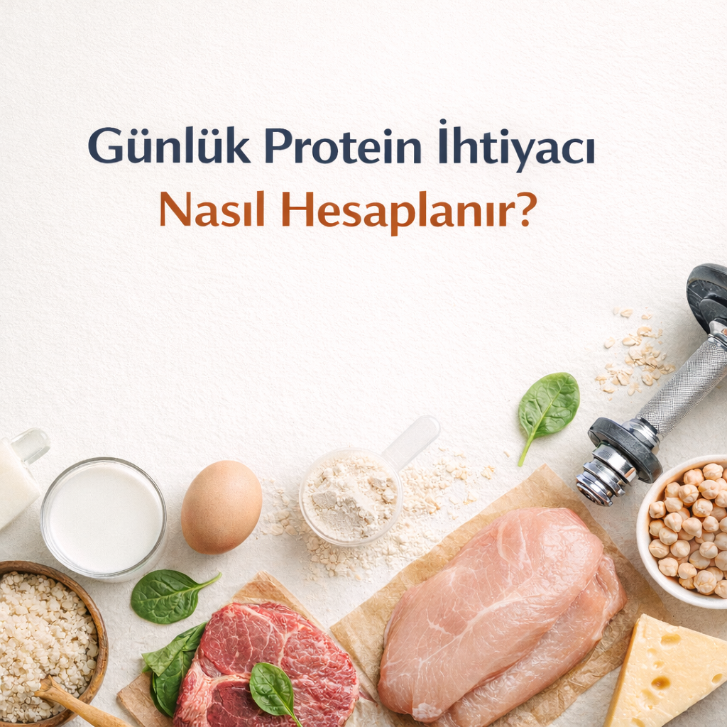 Günlük Protein İhtiyacı Nasıl Hesaplanır? | bahs.